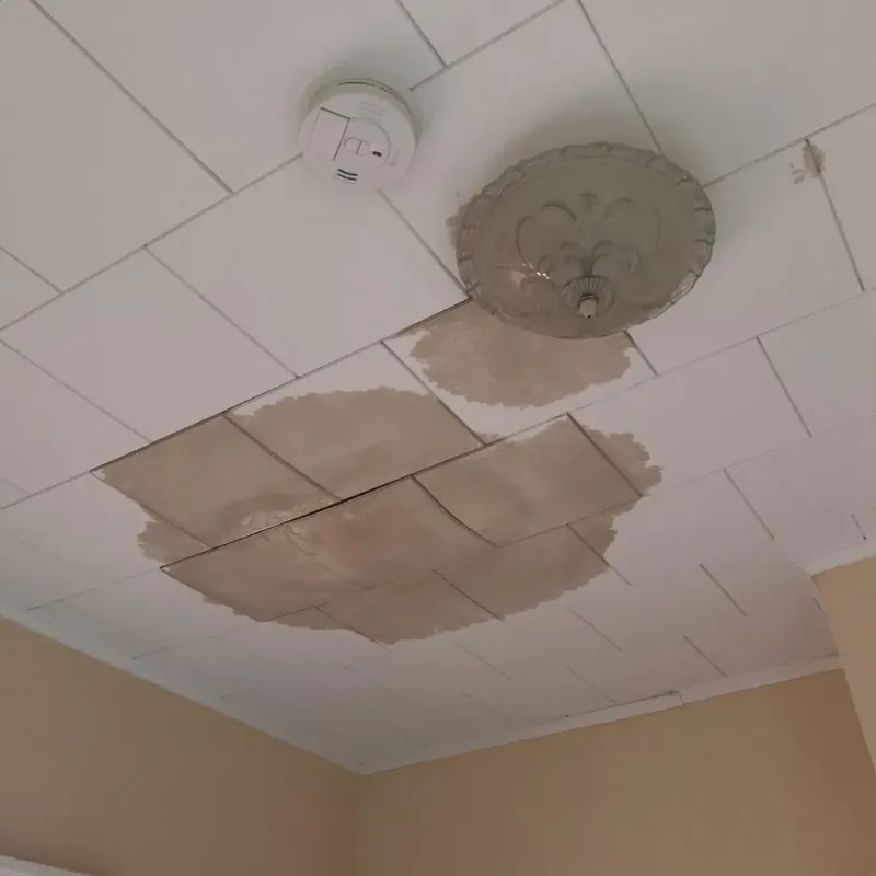 Ceiling Water Damage Repair in Kiowa, KS