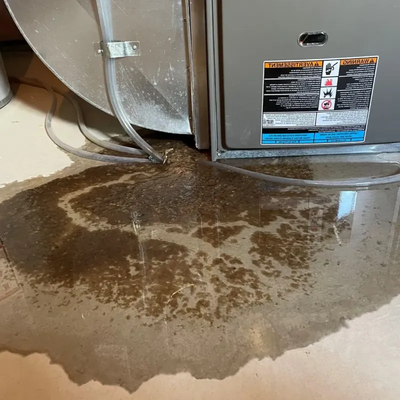 Pipe Burst and Leak Restoration in Kiowa, KS