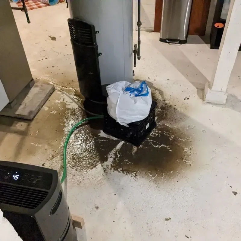 Sewage Backup Cleanup Service in Kiowa, KS
